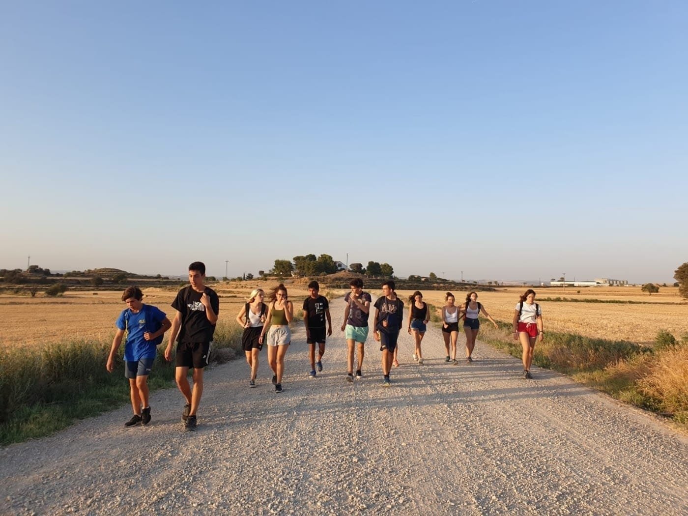 249-1592310184-1400x1400