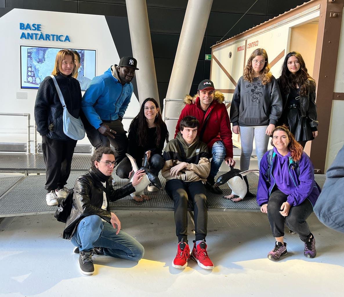 WhatsApp Image 2024-02-17 at 17.52.19